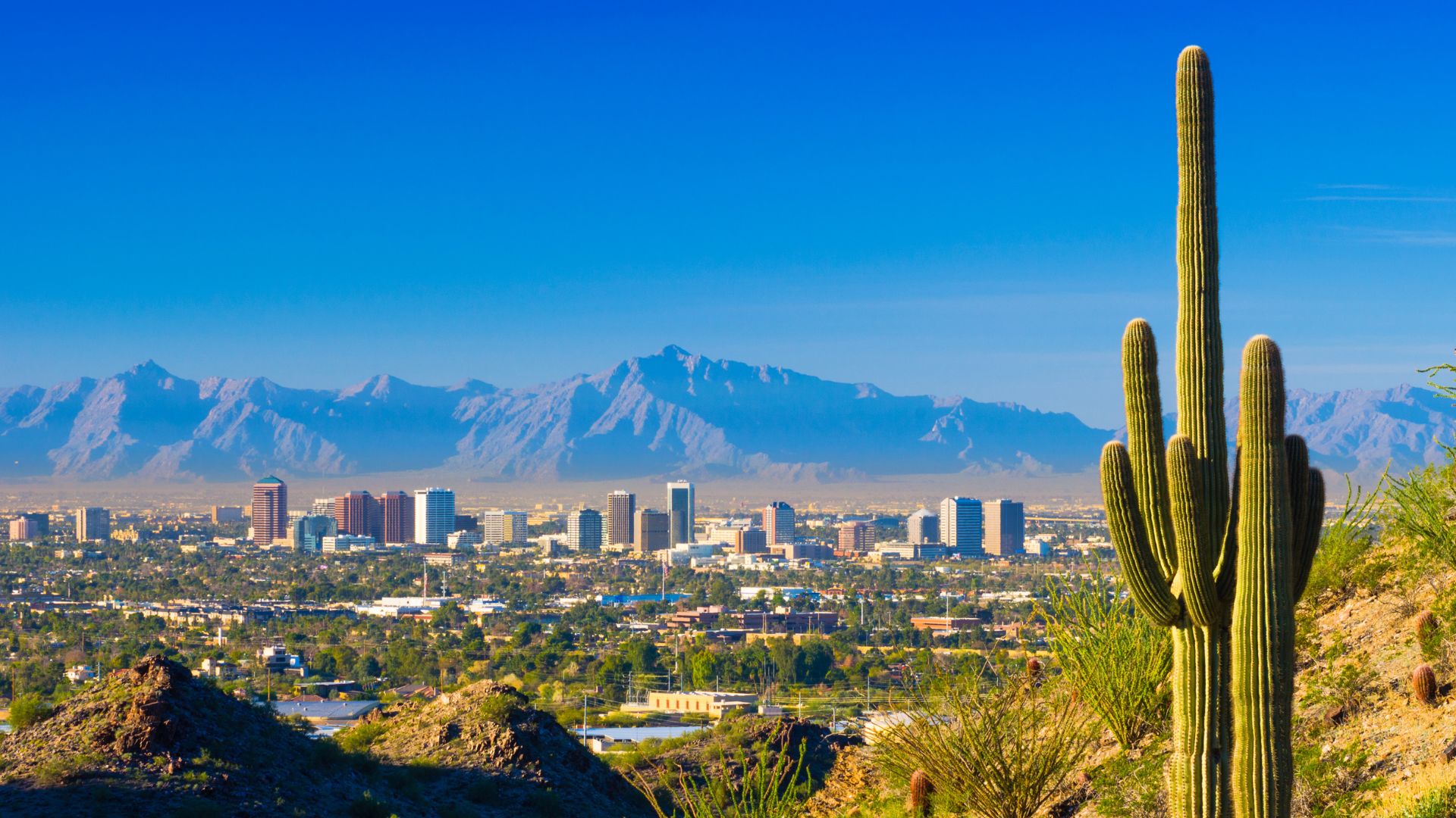 Speak With a Phoenix Car Accident Attorney at Justice On Demand Today image