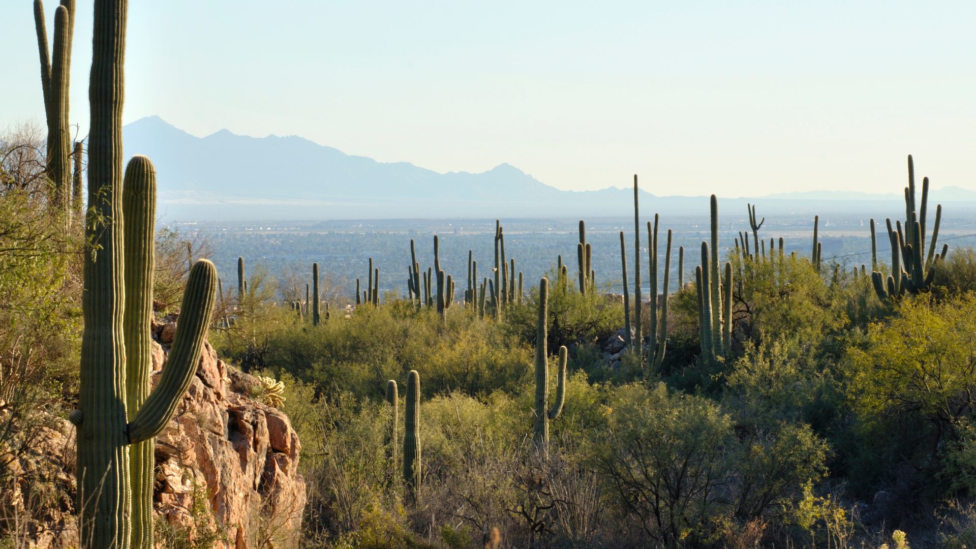 east valley locations